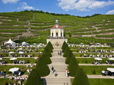 Site photograph of the Schloss Wackerbarth state winery in Radebeul. Photo: Oliver Killig