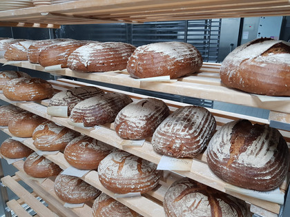 Brotlaibe.jpg Brotlaibe auf Holzbrettern