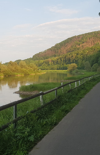 11_hx_zbih_weserradweg_wuergassen_stephanberg.jpg Radweg entlang eines Flusses mit bewaldetem Hang im Hintergrund und üppiger Vegetation.