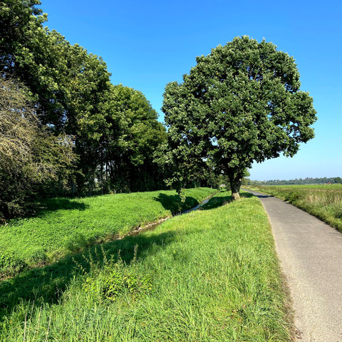 Entlang der Swist in Richtung Erft