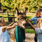 Tierpark Freiberg Tierpark Freiberg