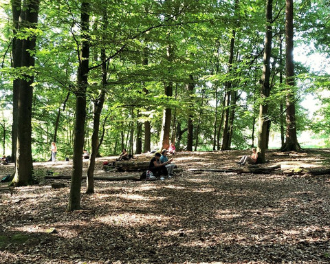 4waldbaden-cuxhaven_Annette Bernjus.jpg