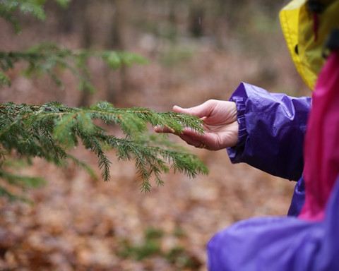 3waldbaden-cuxhaven_Annette Bernjus.jpg