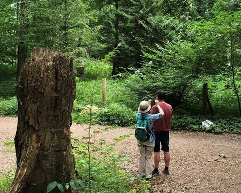 5waldbaden-cuxhaven_Annette Bernjus.jpg