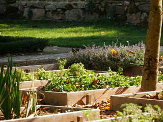 Klostergarten an der Abtei Marienmünster Im Klostergarten der Abtei Marienmünster gedeihen Gemüse- und Kräuterbeete unter strahlender Sonne.