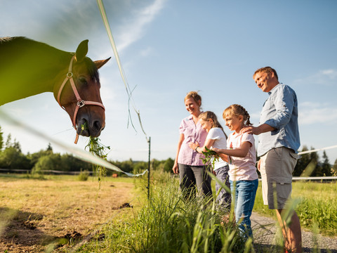 Eine Familie füttert ein braunes Pferd auf einer Wiese bei sonnigem Wetter.A family feeds a brown horse in a meadow in sunny weather.Rodina krmí na louce za slunečného počasí hnědého koně.Rodzina karmi brązowego konia na łące przy słonecznej pogodzie.Een familie voert een bruin paard in een weiland bij zonnig weer.Una famiglia dà da mangiare a un cavallo marrone in un prato con il sole.