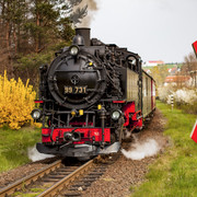 Frühling Zittauer Schmalspurbahn