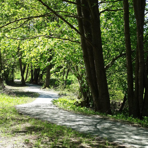 De-luhpadd-3-wanderweg-foto_ccbysa_foto©gemeinde-bispingen.jpg