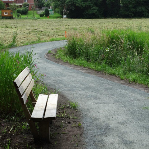 De-luhpadd-4-wanderweg-foto_ccbysa_foto©gemeinde-bispingen.jpg Eine Parkbank am Rand eines gewundenen Kieswegs, umgeben von grüner Wiese und Bäumen.