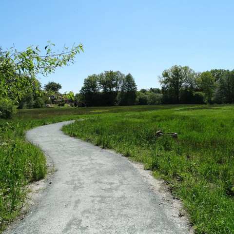 De-luhpadd-2-wanderweg-foto_ccbysa_foto©gemeinde-bispingen.jpg Wanderweg inmitten saftig grüner Wiesen, umgeben von Bäumen unter klarem, blauem Himmel.