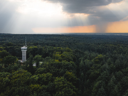 Wingst Aussichtsturm Deutscher Olymp Aussichtsturm Deutscher Olymp ragt aus dichtem Wald, Sonnenstrahlen brechen durch Wolken.