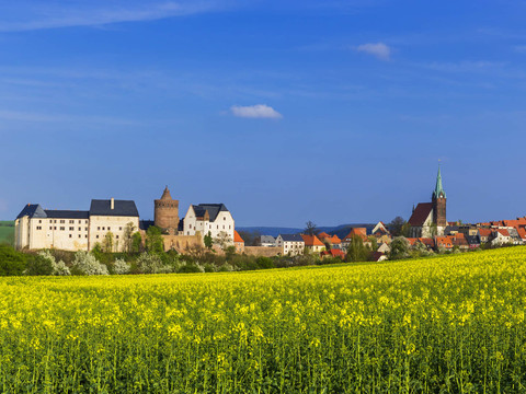 Panoramaansicht der Burg Mildenstein und dem angrenzenden Leisnig, im Vordergrund ein Rapsfeld, Sehenswürdigkeiten, Ausflugsziele