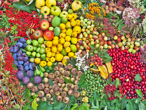 Sornziger Wilde Früchteernte - Regional products from Leipzig