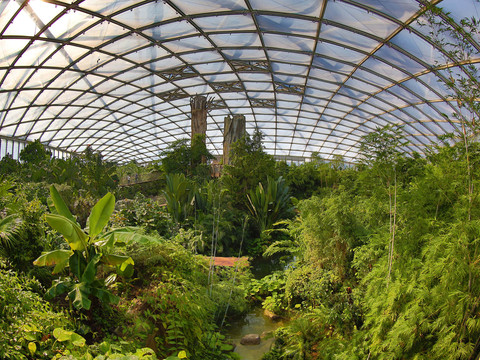 Gondwanaland at Leipzig Zoo - Tierisches Leipzig View of the jungle and the glass dome in the Gondwanaland tropical enclosure at Leipzig Zoo, family, children, leisure, excursion