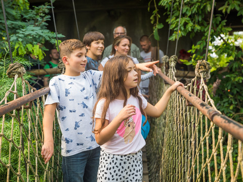 Familie im Gondwanaland im Zoo Leipzig - Leipzig mit Kindern Eine Familie läuft eine Hängebrücke im Gondwanaland des Zoo Leipzig entlang und schaut sich nach Tieren um, Familie, Freizeit, Ausflug, Kinder