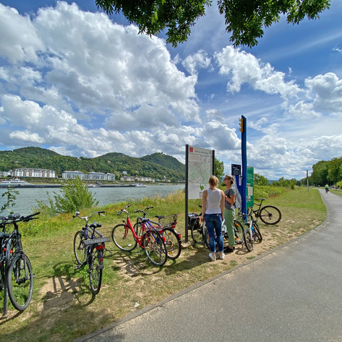 Radfahren auf dem Rheinradweg