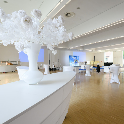 Hamburg Hall, reception