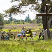 Rast auf der Hochheide