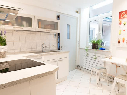 Küche Apartment Harzstraße.2