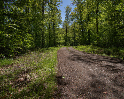 Wanderweg Prinzessinengarten-min