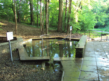 Wassertretbecken Plüneckenbrunnen in Salzgitter-Bad Steinernes Wassertretbecken im Wald mit Metallgeländer im Wasser und gepflastertem Rand.