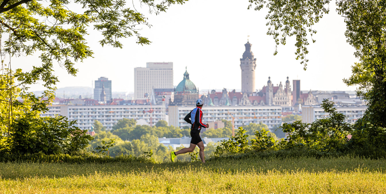 Blick vom Aussichtspunkt Fockeberg mit Leipzigs Skyline und Blick ins Grüne, Natur, Spazieren
