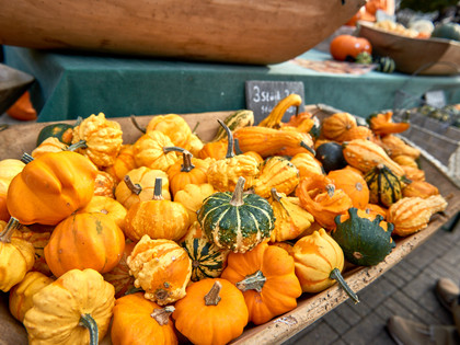 Wochenmarkt in Wolfenbüttel Kürbisse auf dem Wochenmarkt