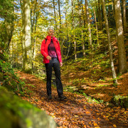 auf dem Habichtswaldsteig im Firnsbachtal bei Schauenburg