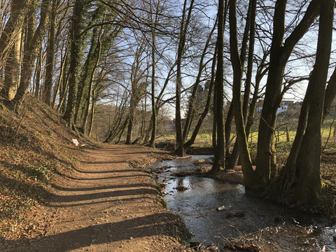 am Weyerbach Ein idyllischer Waldweg führt entlang eines plätschernden Bachs unter kahlen Baumkronen.