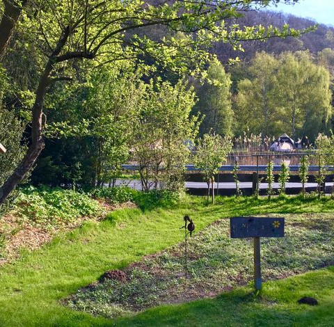 Flux - Biohotel im Werratal