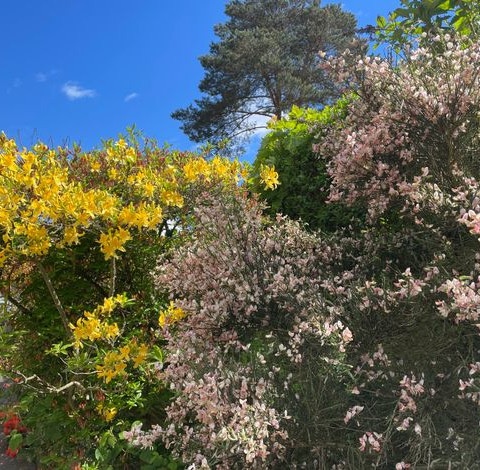 Ferienhaus Chalet Andante