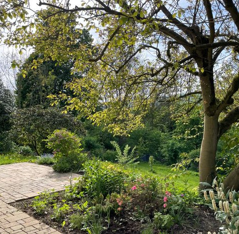 Ferienhaus Chalet Andante