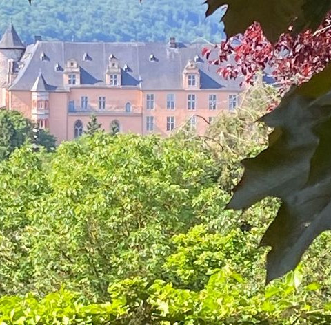 Blick auf das Welfenschloss