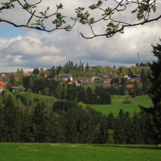 Blick vom Lampertsberg auf Hohegeiß