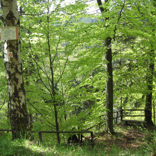 Aussichtspunkt Nonnenbank