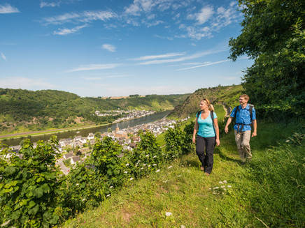 Moselsteig an der Terrassenmosel