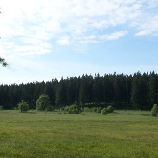 Blick ins Bodetal in Braunlage
