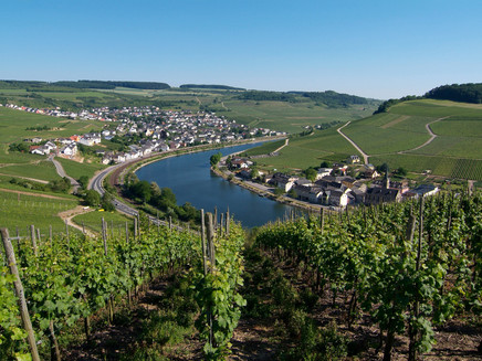 Moselsteig an der Obermosel