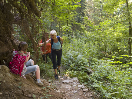 Jungle path Schwalberbachtal