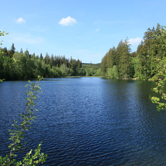 Silberteich