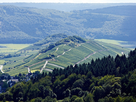 Vineyards galore: Mülheim an der Mosel
