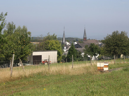 Mountain biking in the Hunsrück: Gornhausen