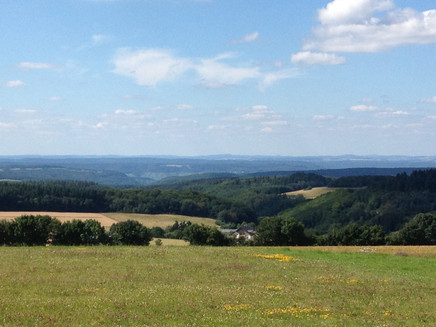 Radfahren mit dem E-Bike im Hunsrück