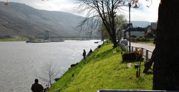 Moselle riverbank in Wehlen on a cycling holiday