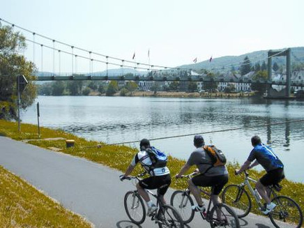Cycling on the Mosel in Wehlen