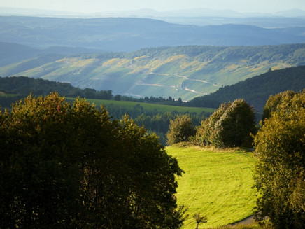 Cycling on vacation with Mosel panorama