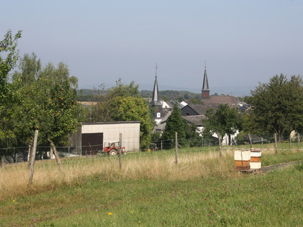Biking in the Mosel-Hunsrück near Gornhausen
