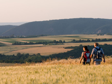 On the Moselle Heights