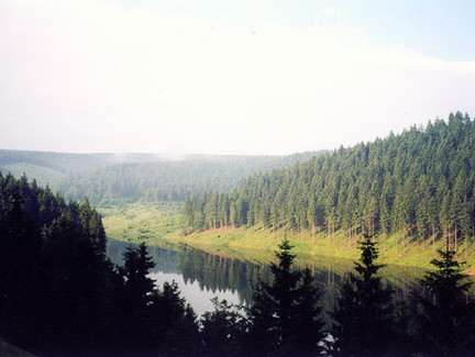 Das Pumpspeicherwerk in Goldisthal.