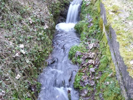 Bach im Kallenfelstal